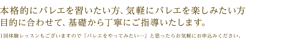 本格的にバレエを習いたい方、気軽にバレエを楽しみたい方目的に合わせて、基礎から丁寧にご指導いたします。